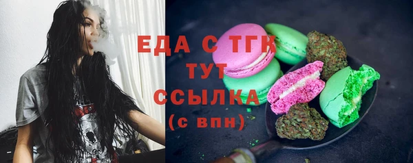 индика Алексин