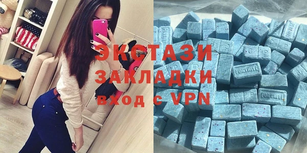 индика Алексин
