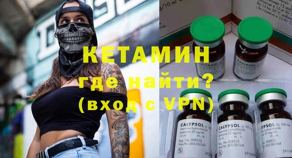 индика Алексин