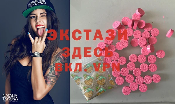 индика Алексин
