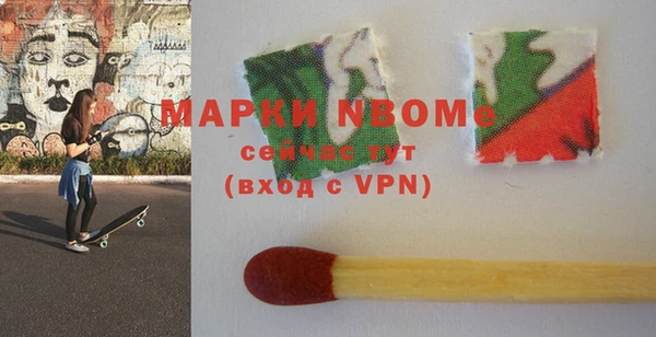 индика Алексин
