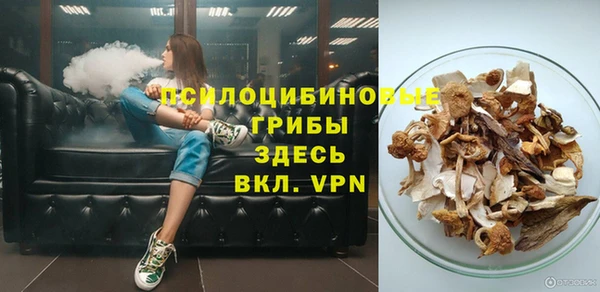 стаф Горнозаводск