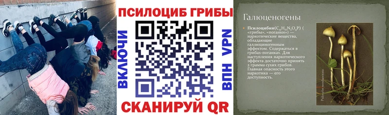 Галлюциногенные грибы мицелий omg Менделеевск